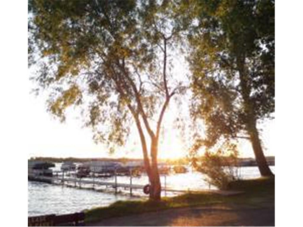 2945 County Road 4 #65 SW Cokato MN 55321 - Cokato 7003519 image9