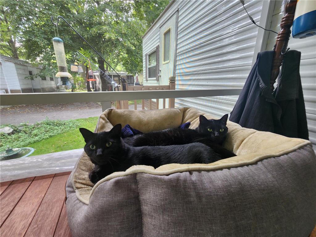 2945 County Road 4 SW #109 Cokato MN 55321 - Cokato 6674964 image38