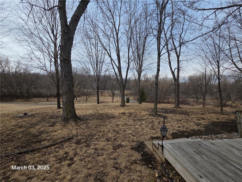 2945 County Road 4 SW #217 Cokato MN 55321 - Cokato 7003032 image29