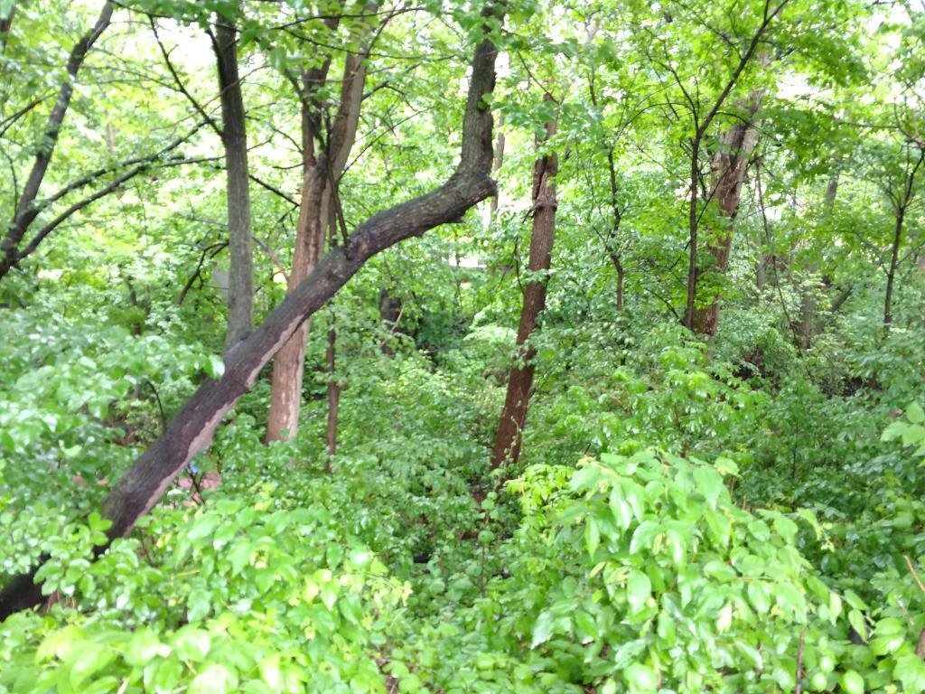 2945 County Road 4 SW #341 Cokato MN 55321 - Cokato 7003513 image23