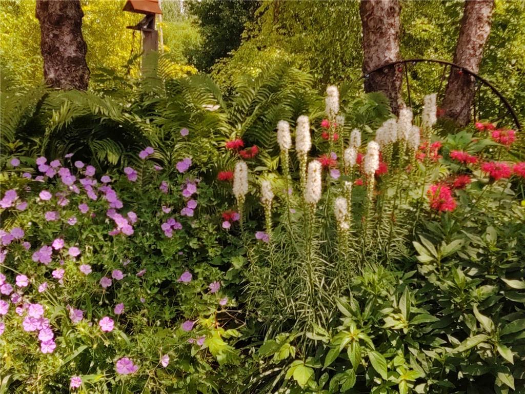 2945 County Road 4 SW #522 Cokato MN 55321 - Cokato 7003514 image37