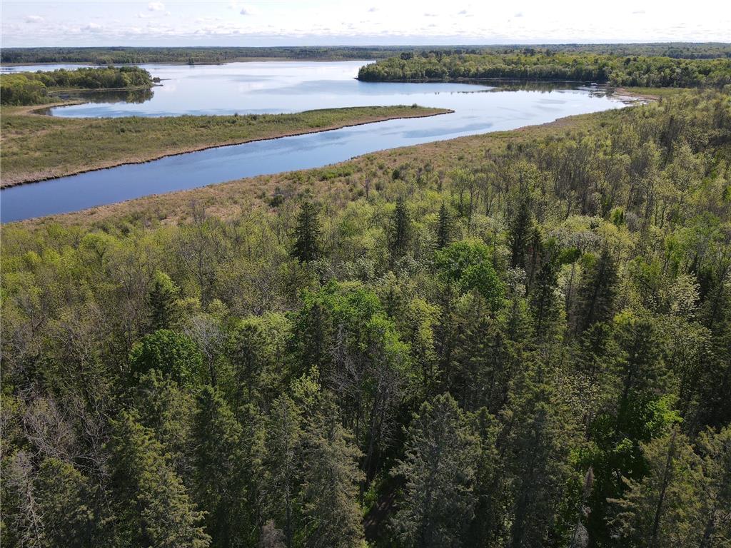 2948 Iowa Drive Gail Lake Twp MN 56435 - Lizzie Lake 6727327 image1