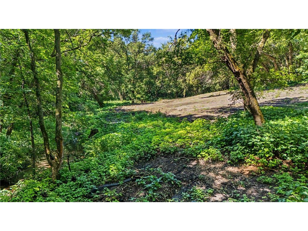 29499 390th Street Sharon Twp MN 56058 7109786 image27