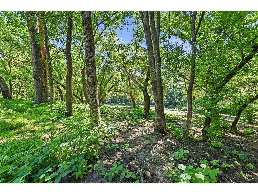 29499 390th Street Sharon Twp MN 56058 7109786 image30