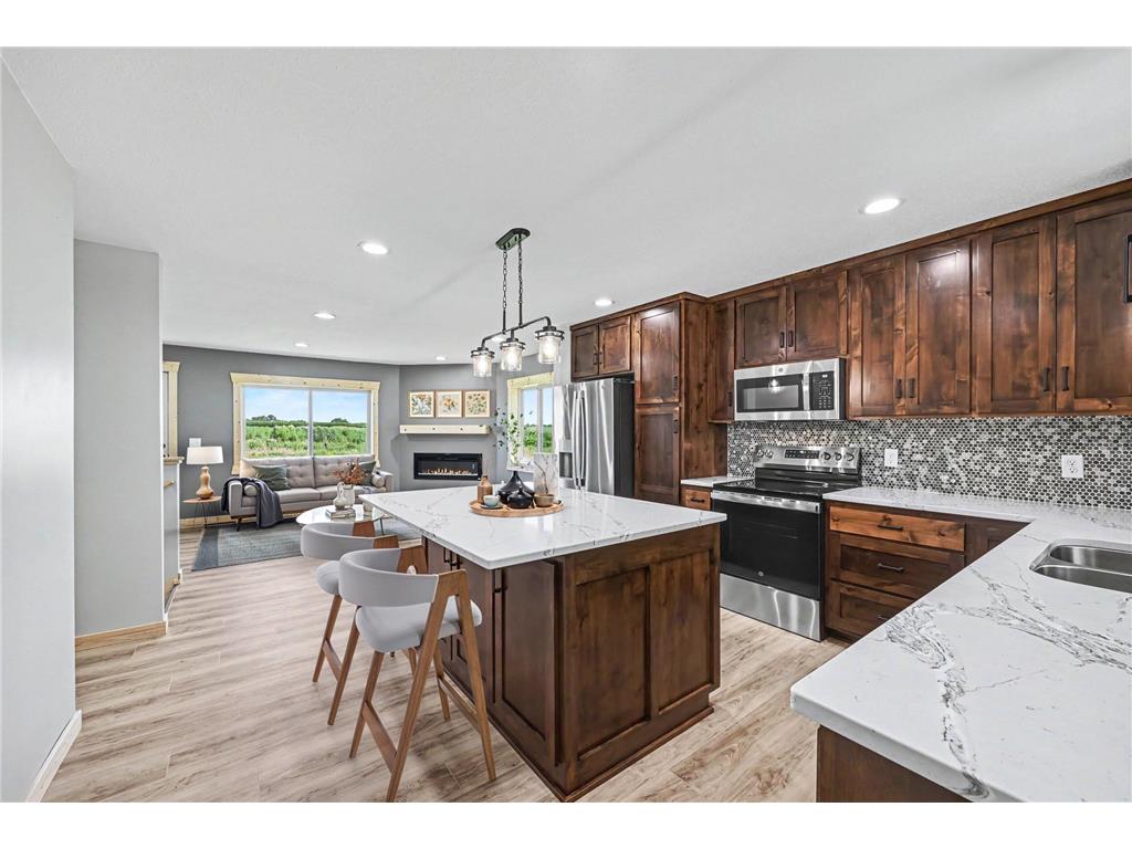 29499 390th Street Sharon Twp MN 56058 7109786 image4