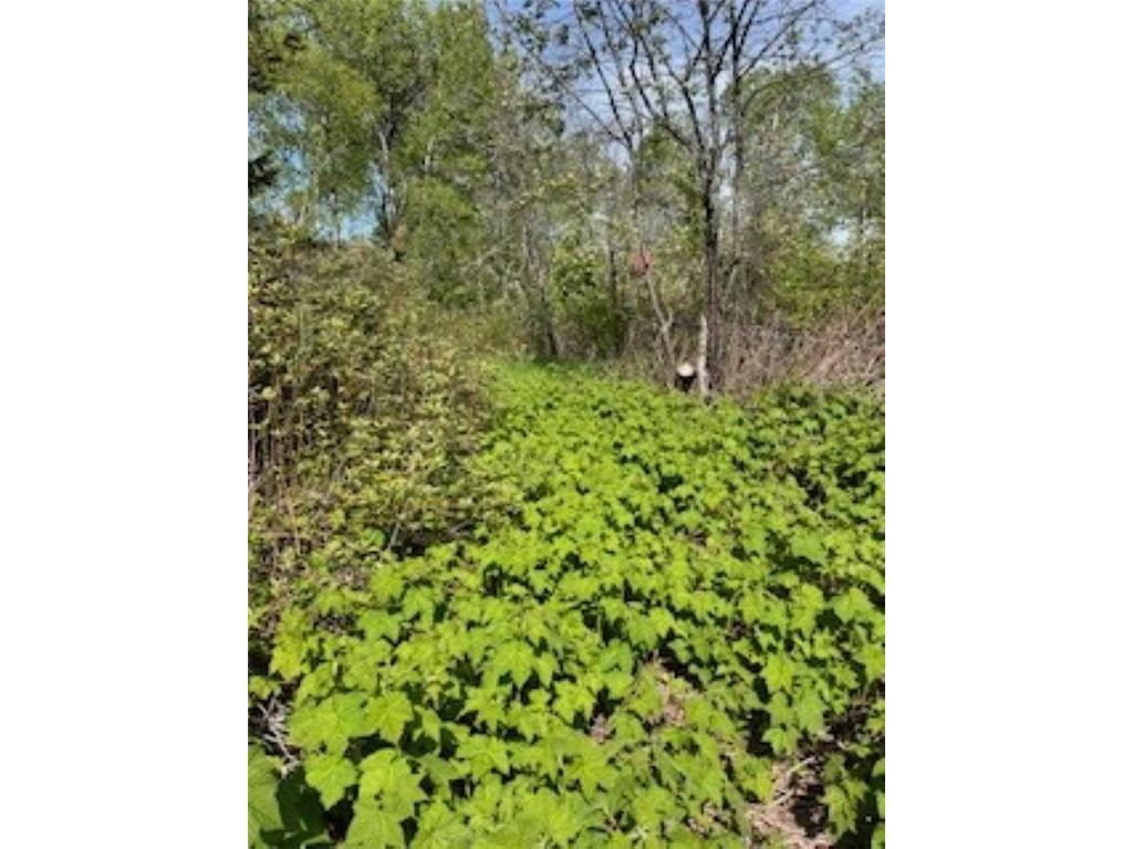 294X County Rd 7 Grand Marais MN 55604 6545171 image1