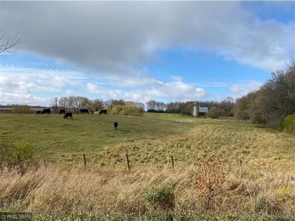 XXX 295th Avenue, Dalton, MN, 56324 MLS 6360690 Edina Realty