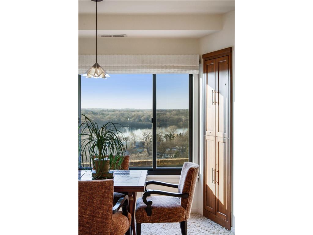 2950 Dean Parkway #1903-4 Minneapolis MN 55416 7105035 image46