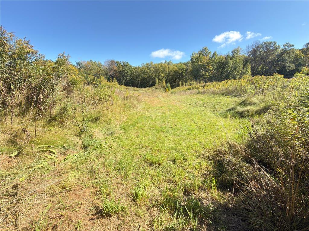2952 90th Street Bone Lake Twp WI 54837 7044758 image40