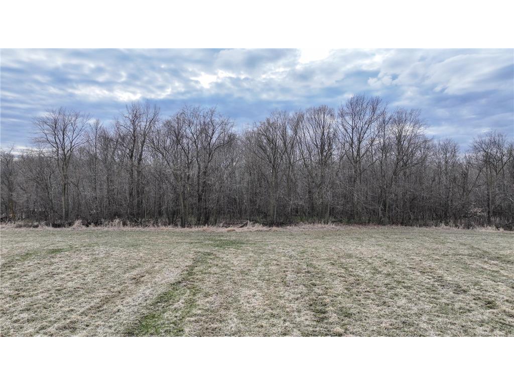 2955 Nelson Rd Independence MN 55328 6707021 image5