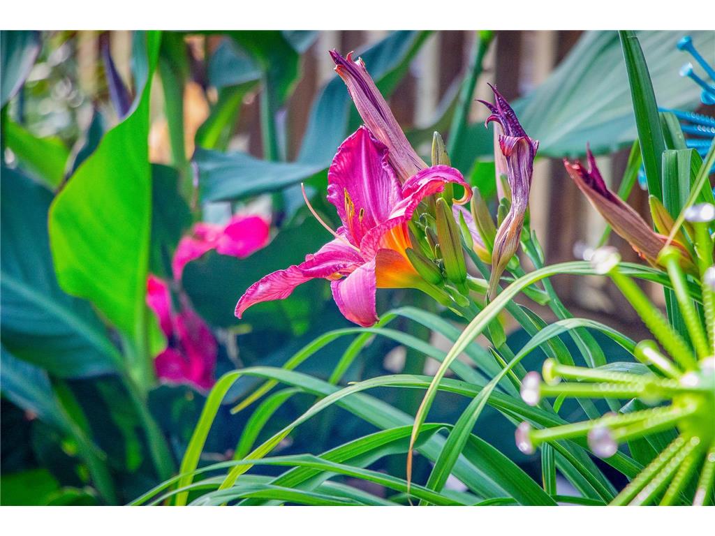 2955 Saint Onge Drive NE Bemidji MN 56601 6670777 image68