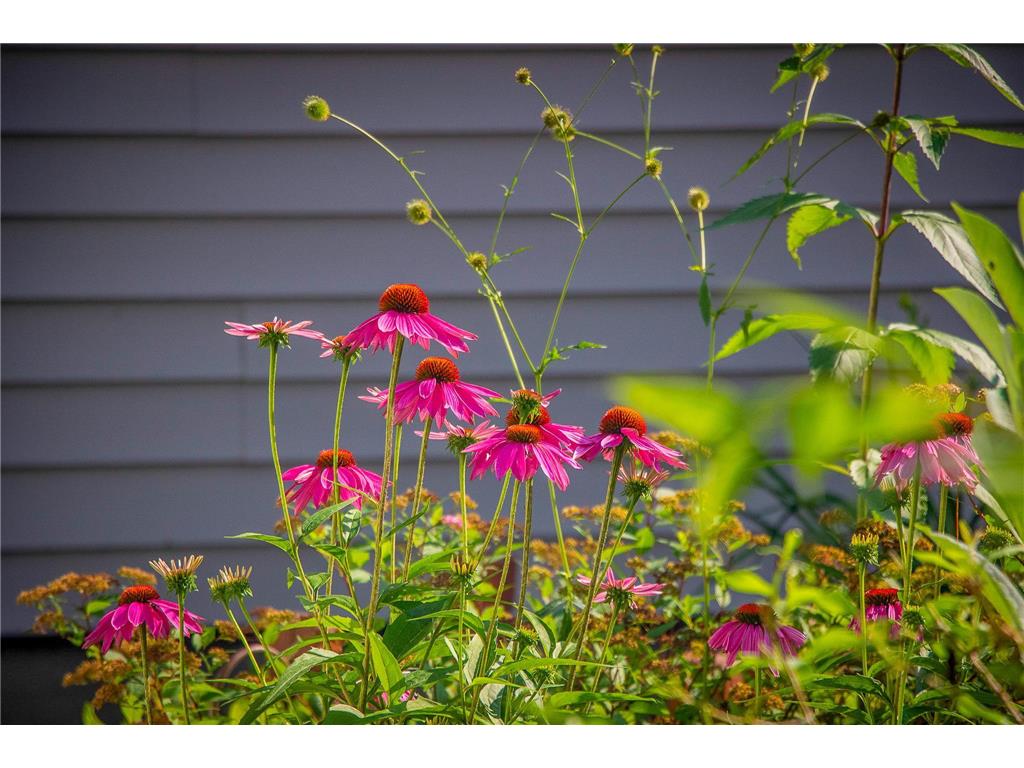 2955 Saint Onge Drive NE Bemidji MN 56601 6670777 image72