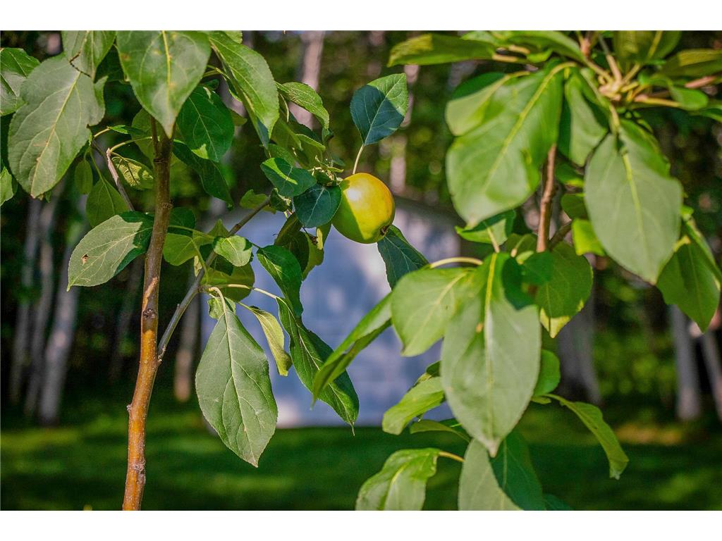 2955 Saint Onge Drive NE Bemidji MN 56601 6670777 image73