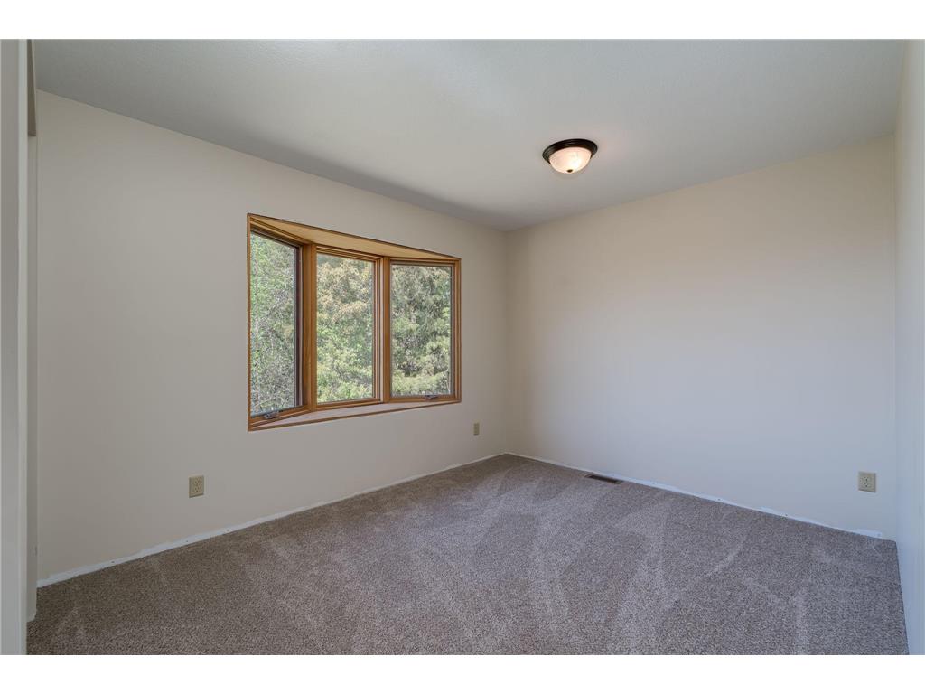 29558 Pumpkin Hill Road Tyrone Twp MN 56058 7064279 image28