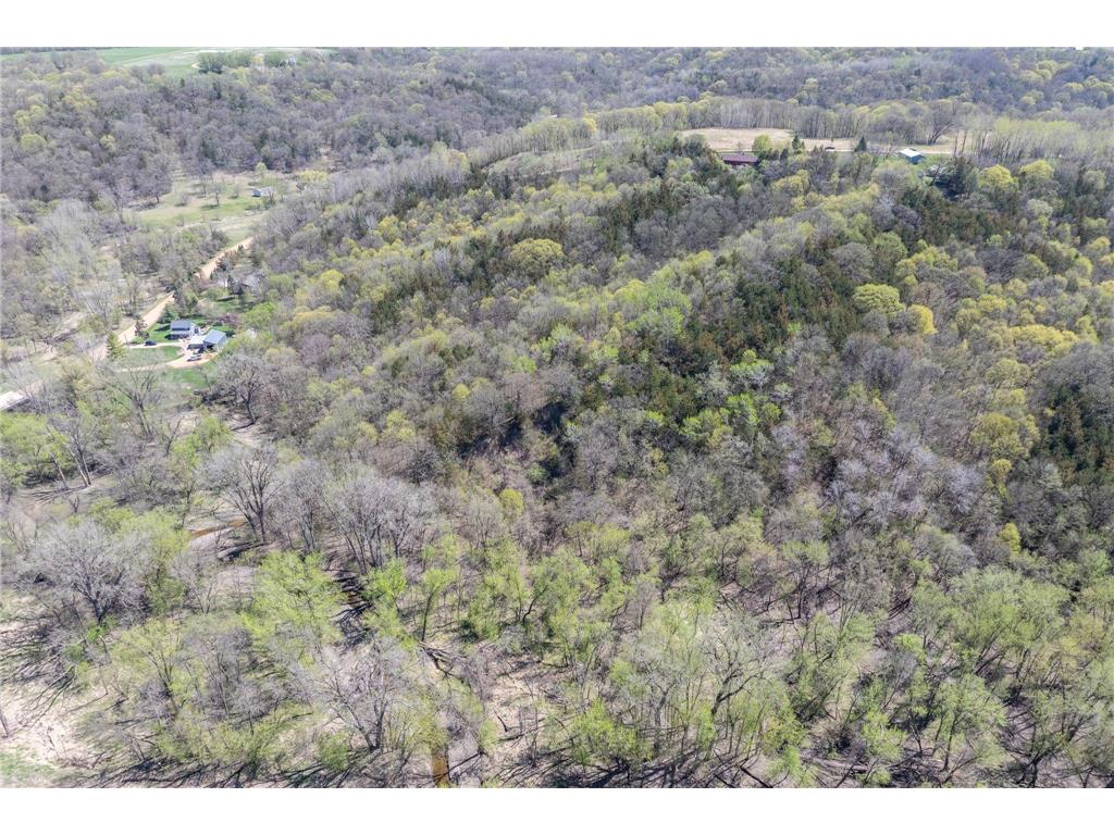 29558 Pumpkin Hill Road Tyrone Twp MN 56058 7064279 image43