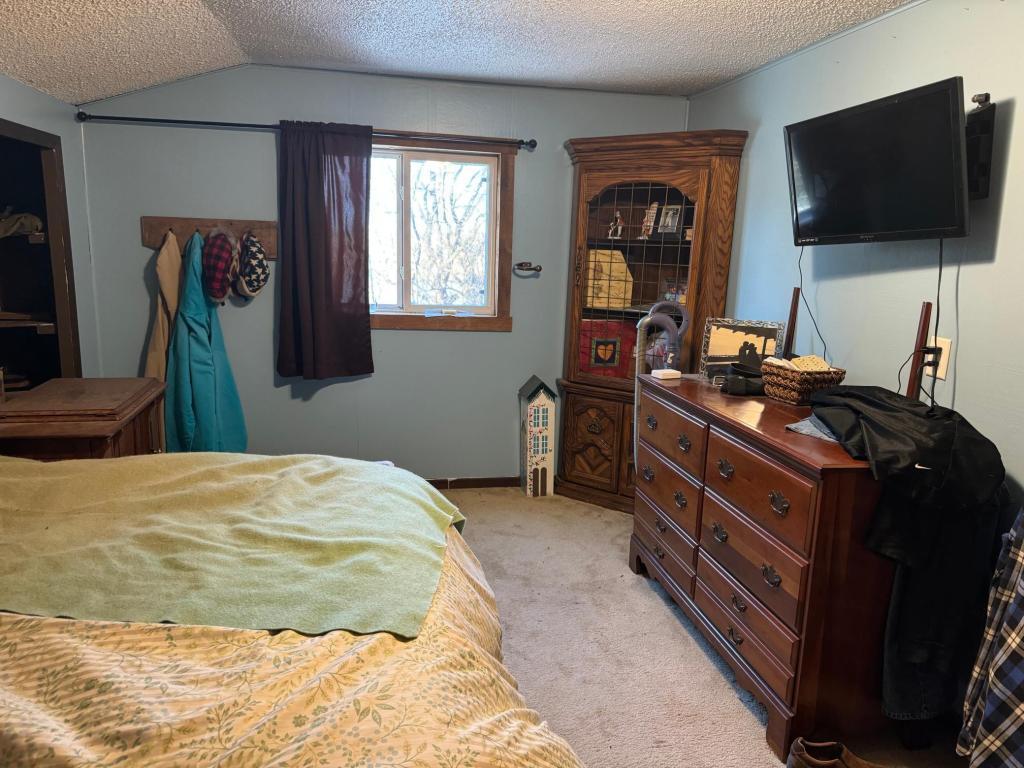 29588 State Highway 29 Langhei Twp MN 56381 7102240 image11