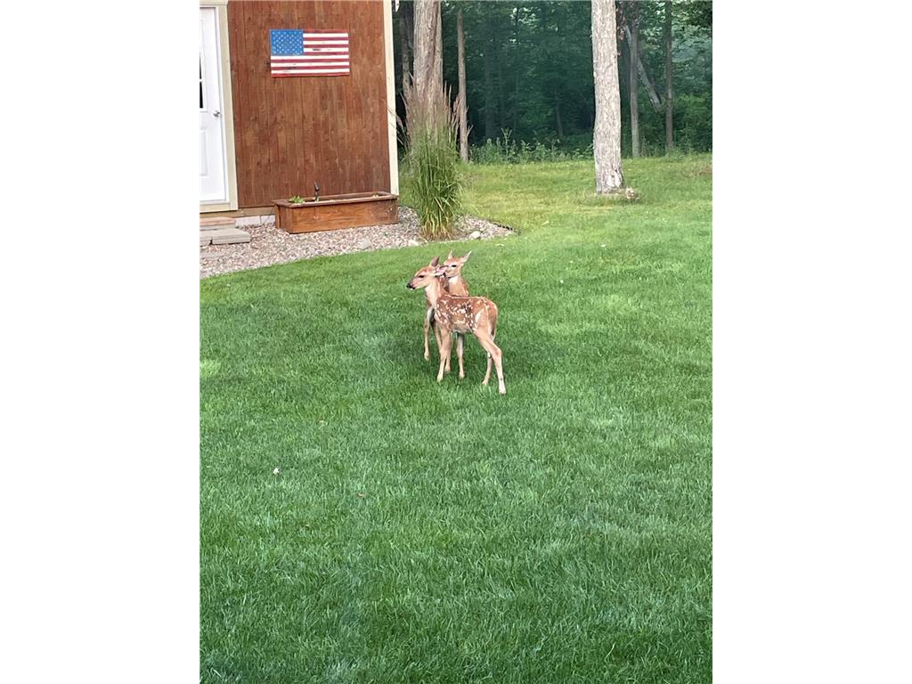 29609 Delaware Trail Breezy Point MN 56472 7023789 image49