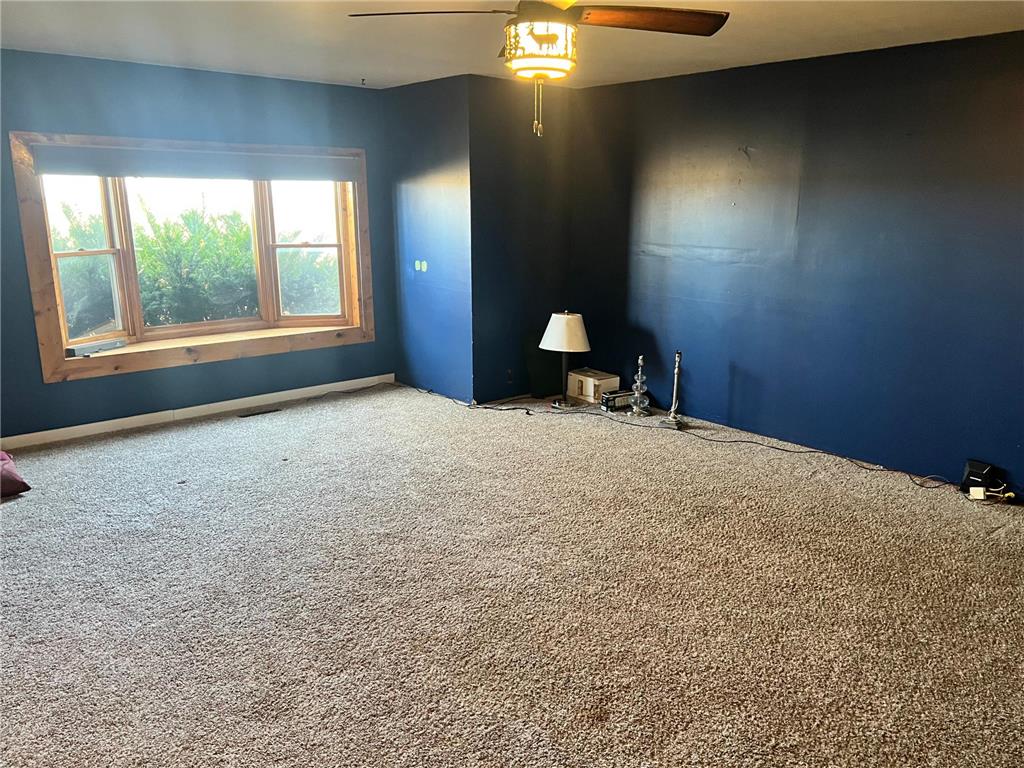 2962 360th Avenue Elmore MN 56027 6820601 image15