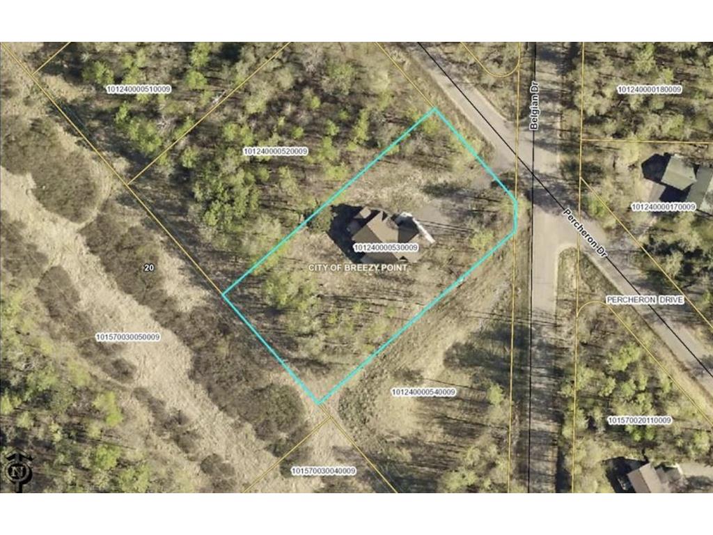 29631 Percheron Drive Breezy Point MN 56472 7024710 image38