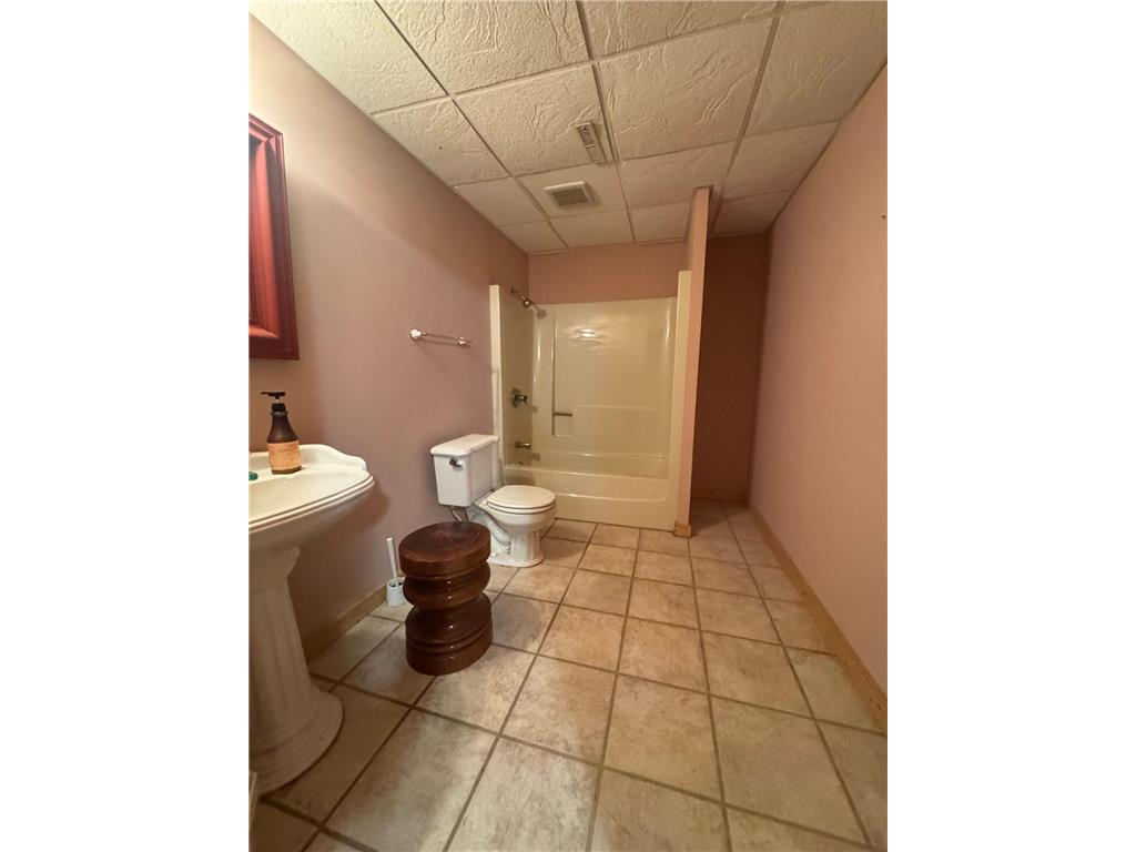 29633 390th Street Sharon Twp MN 56058 6811114 image32