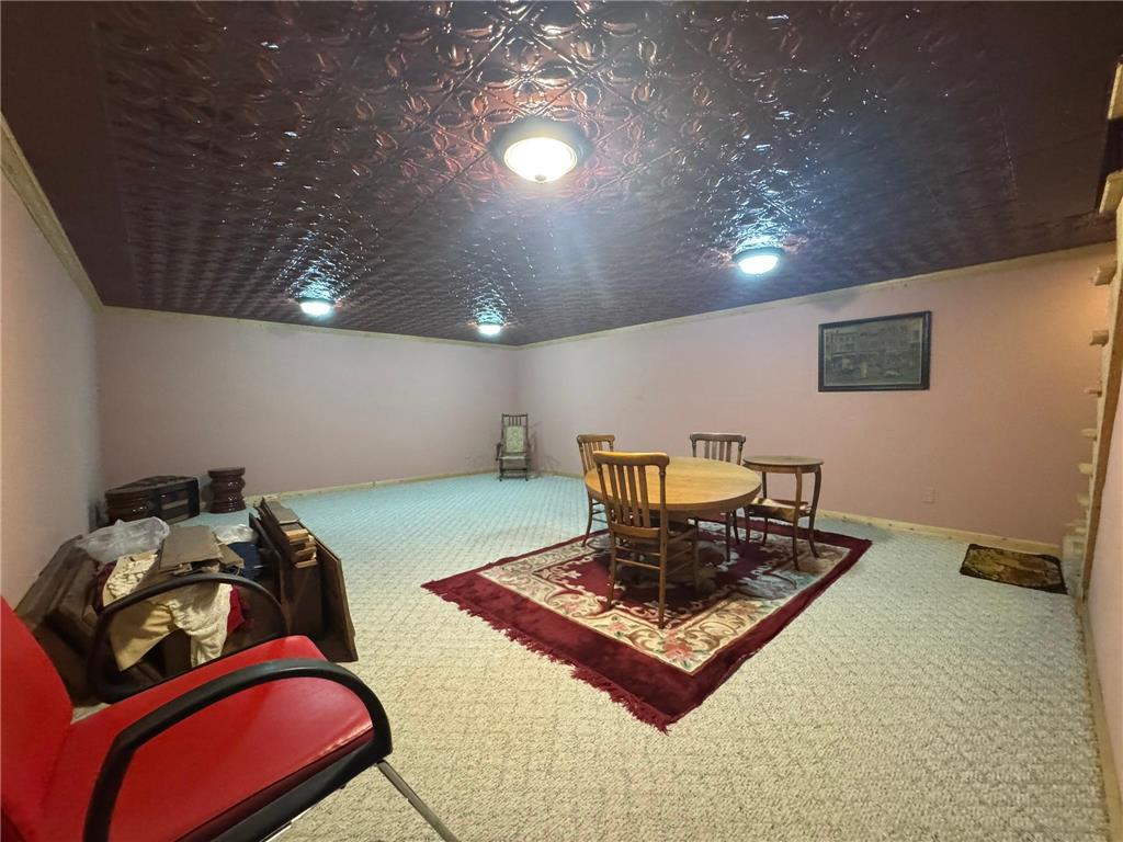 29633 390th Street Sharon Twp MN 56058 6811114 image33