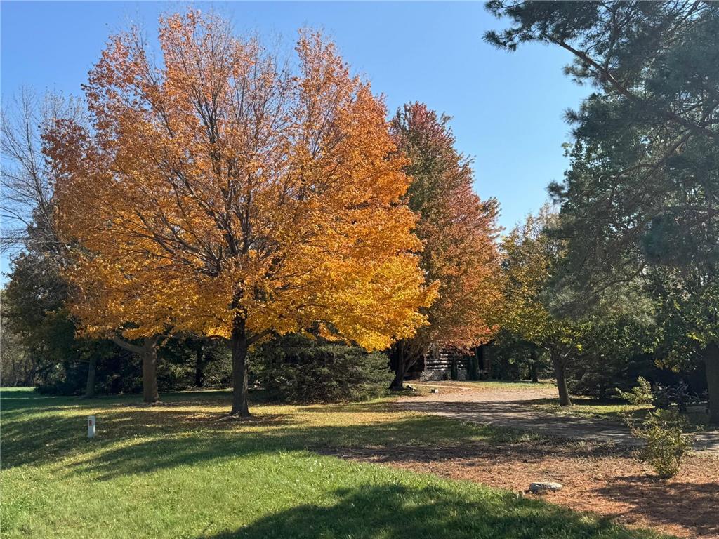 29633 390th Street Sharon Twp MN 56058 6811114 image44