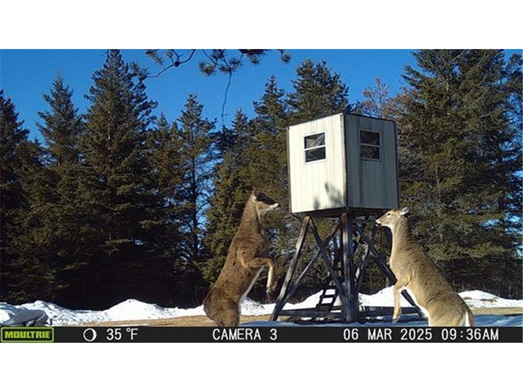 2965 Bankton Road SW Victory Twp MN 56623 6763603 image22