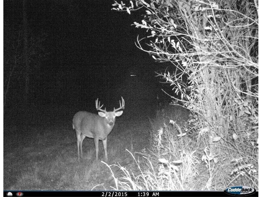 2965 Bankton Road SW Victory Twp MN 56623 6763603 image23