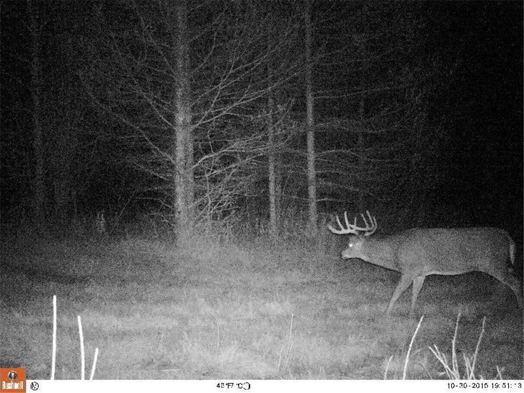 2965 Bankton Road SW Victory Twp MN 56623 6763603 image24