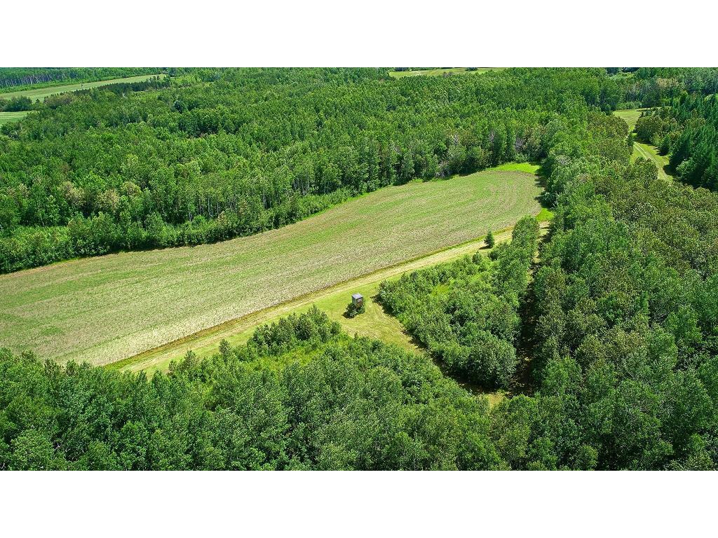 2965 Bankton Road SW Victory Twp MN 56623 6763603 image30