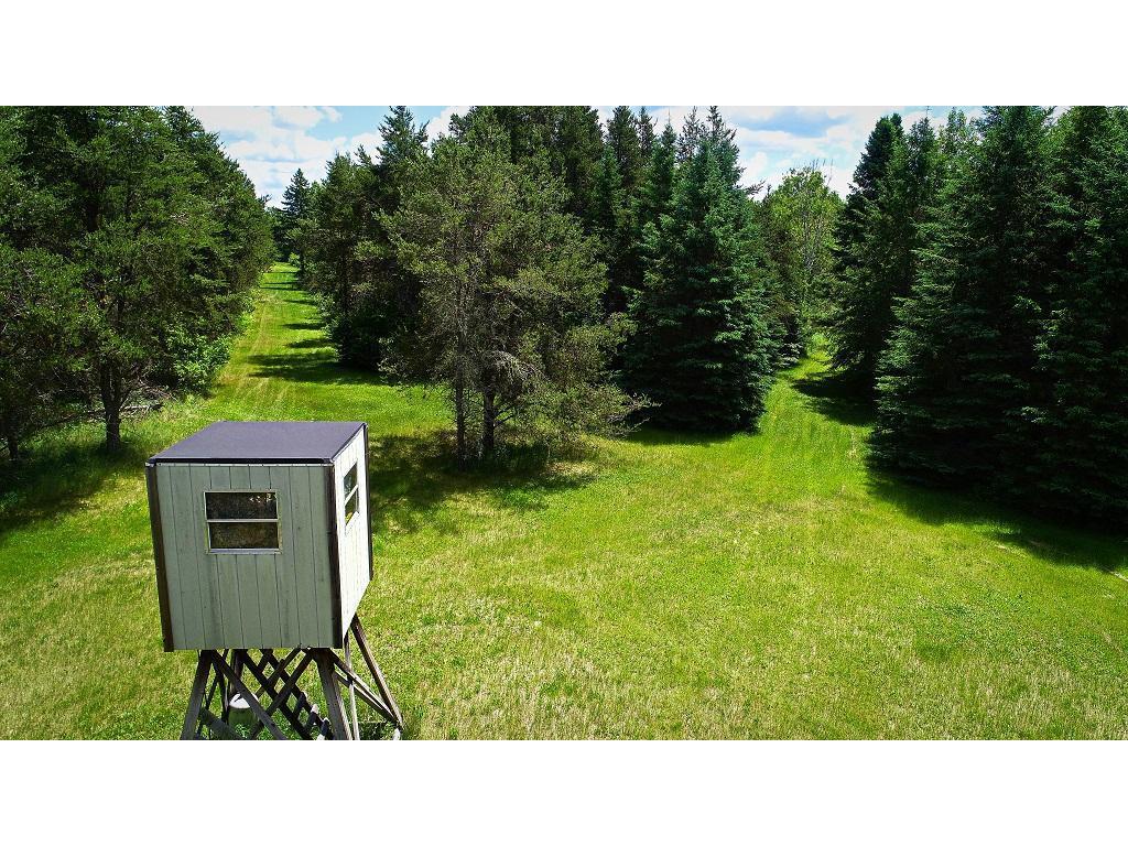 2965 Bankton Road SW Victory Twp MN 56623 6763603 image36