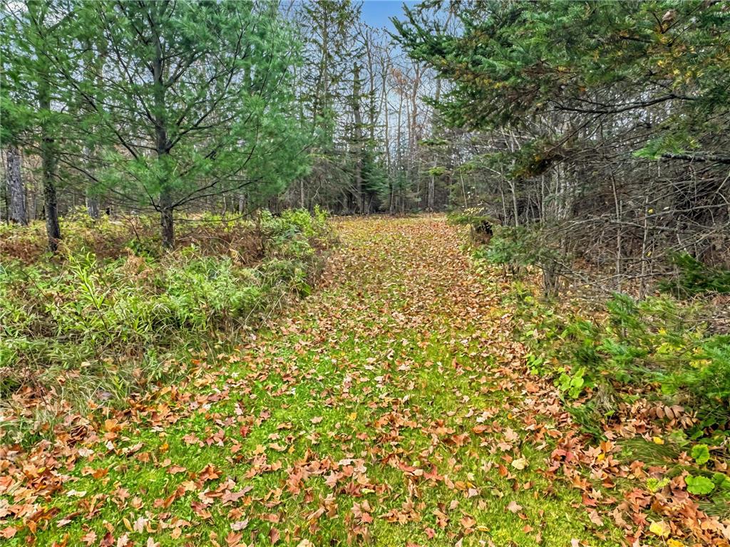 29658 W Mary Lake Drive Bigfork MN 56628 - Mary Lake 7078465 image33
