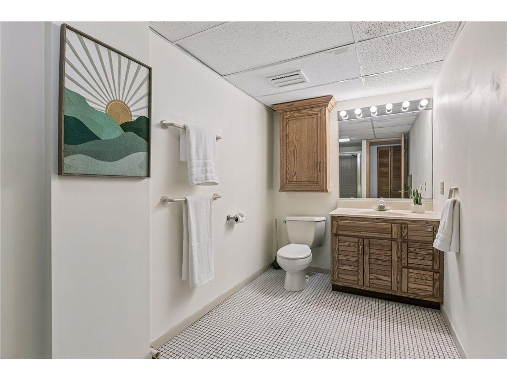 2966 Mildred Drive Roseville MN 55113 7083045 image24