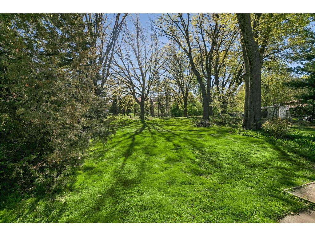2966 Mildred Drive Roseville MN 55113 7083045 image29