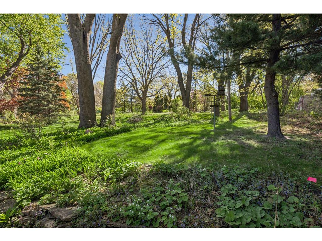 2966 Mildred Drive Roseville MN 55113 7083045 image30