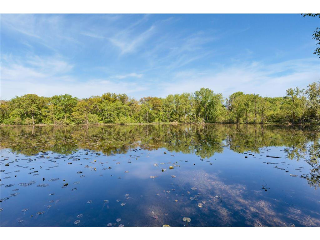 2966 Mildred Drive Roseville MN 55113 7083045 image33