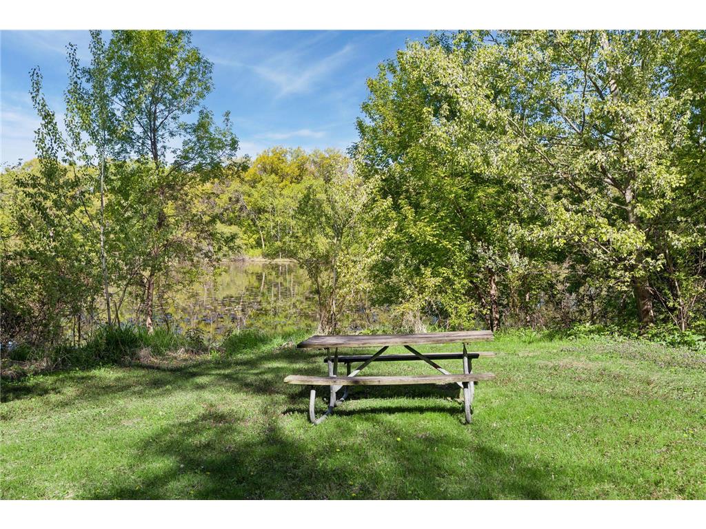 2966 Mildred Drive Roseville MN 55113 7083045 image36