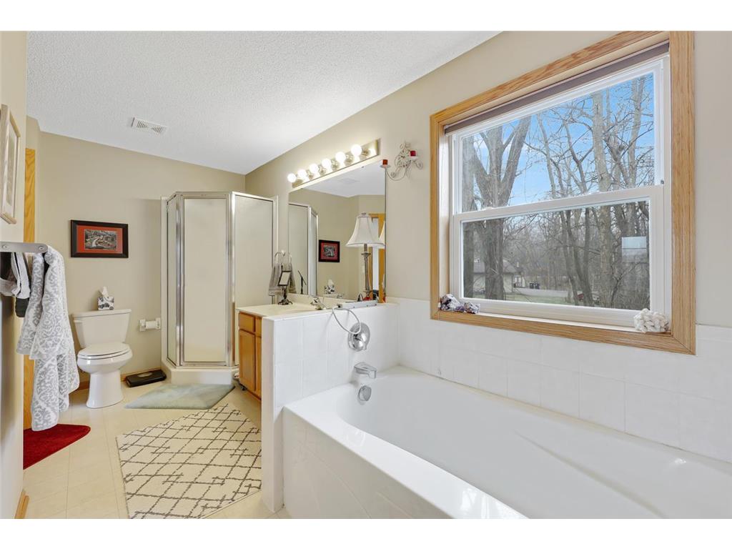 29660 North Court Chisago City MN 55013 7054335 image18
