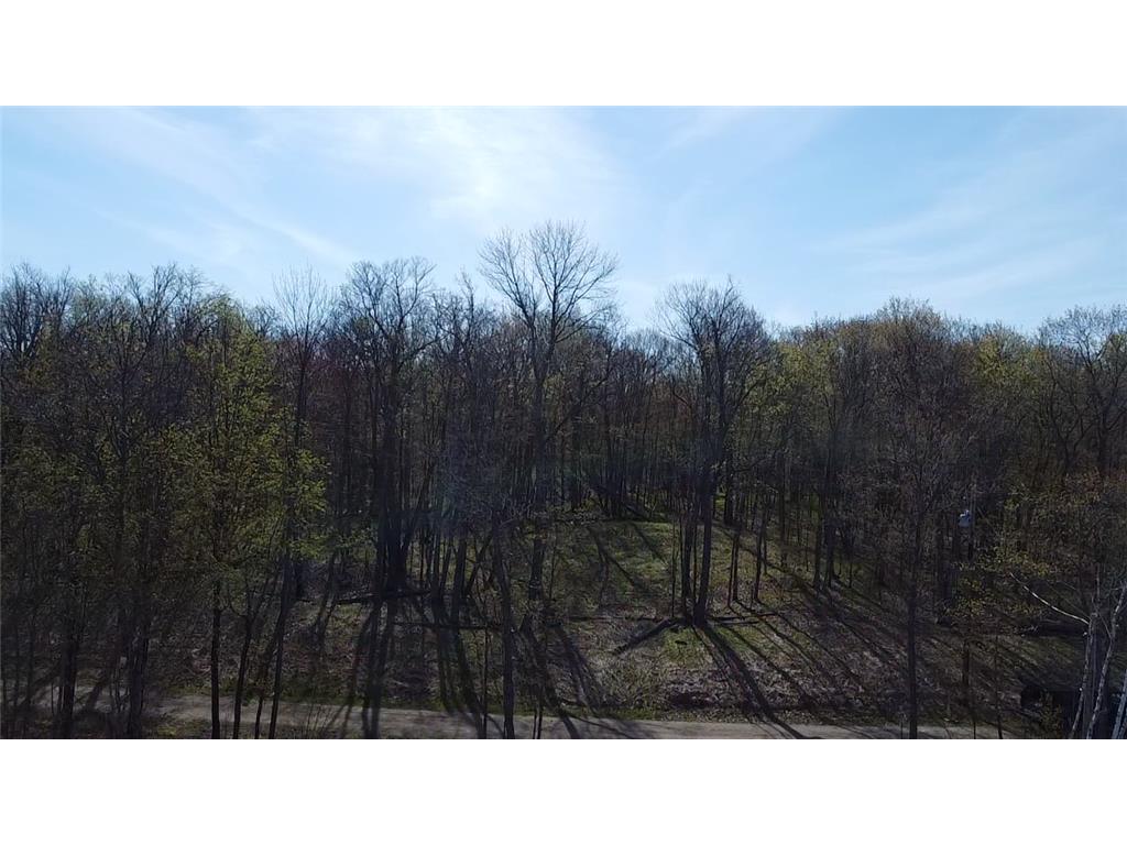 29675 407th Place Farm Island Twp MN 56431 - Spirit Lake 7074773 image26