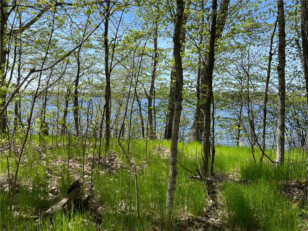 29675 407th Place Farm Island Twp MN 56431 - Spirit Lake 7074773 image29
