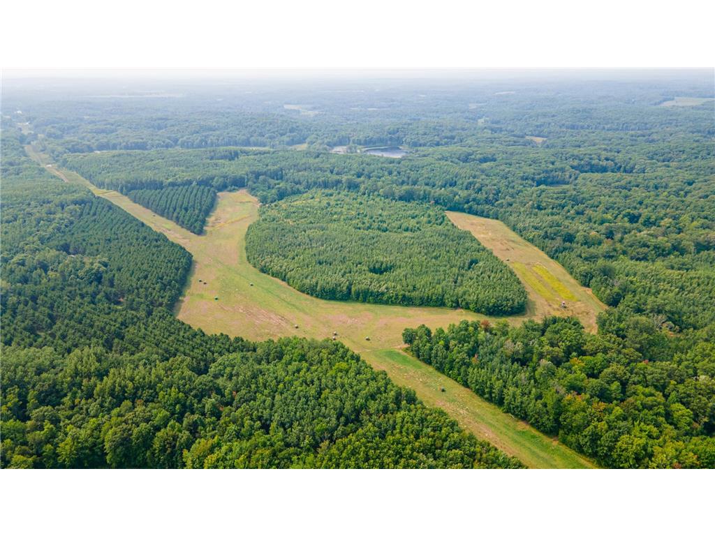29675 Azure Road Cushing Twp MN 56443 6424289 image1