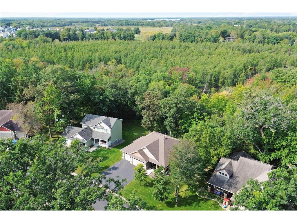 29680 Hidden Forest Boulevard Chisago City MN 55013 6742557 image1