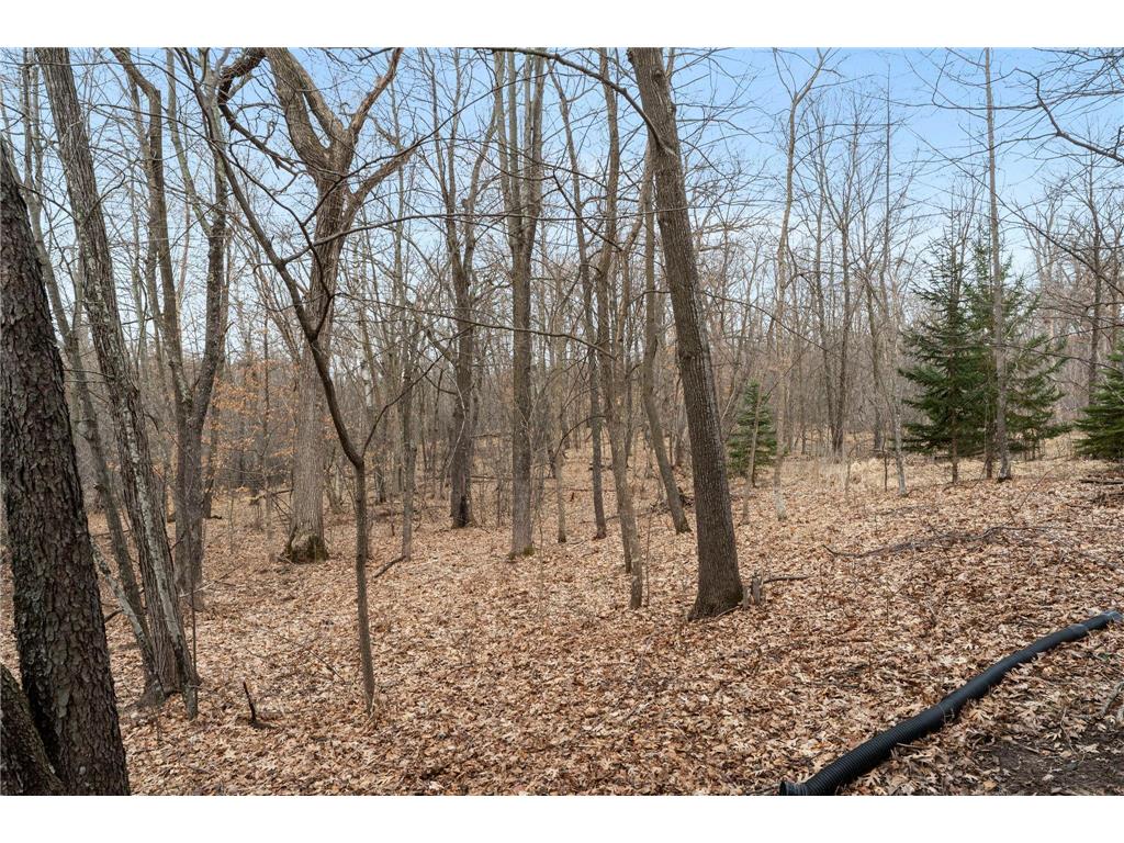 29694 Hidden Forest Boulevard Chisago City MN 55013 7024919 image52