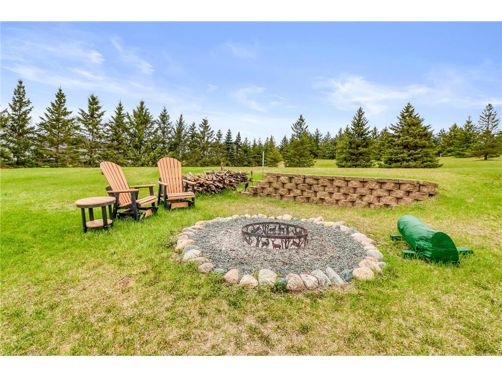 29701 Buffalo Run Rochert MN 56578 - Buffalo 7030524 image10