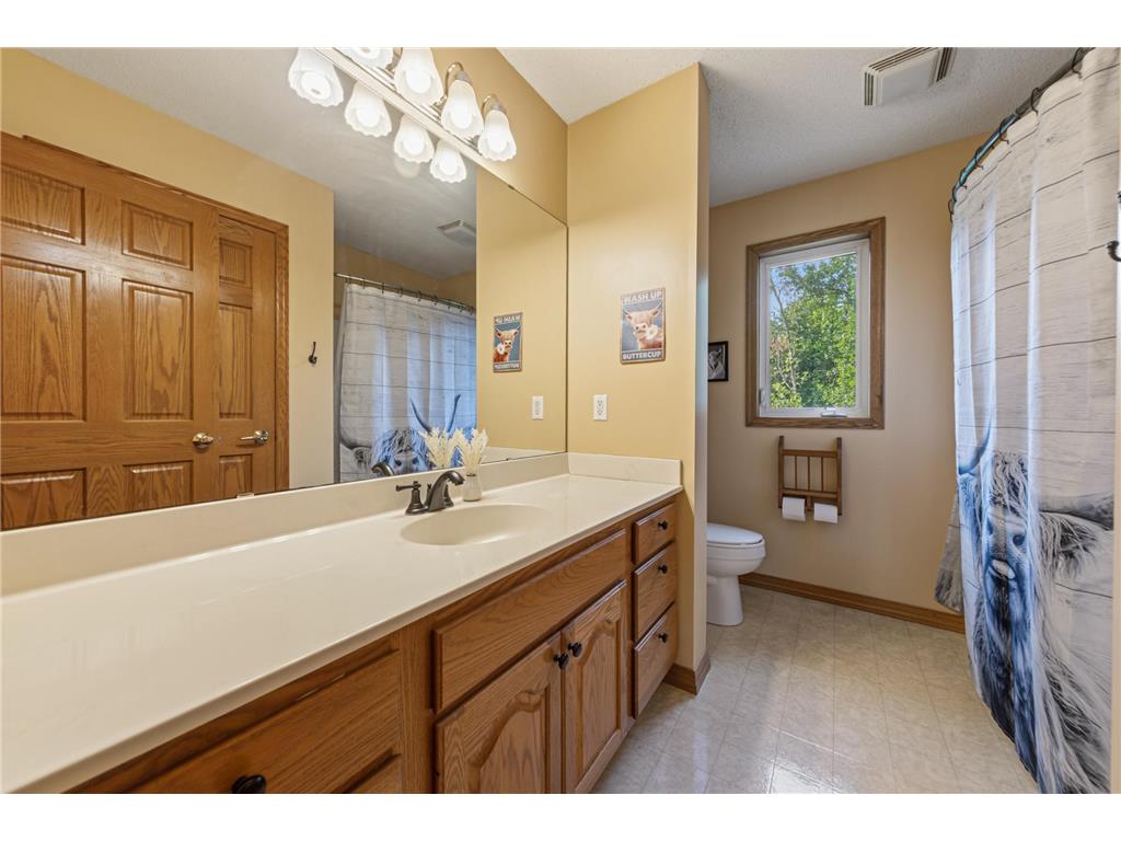 29742 400th Street Le Sueur MN 56058 7098086 image24