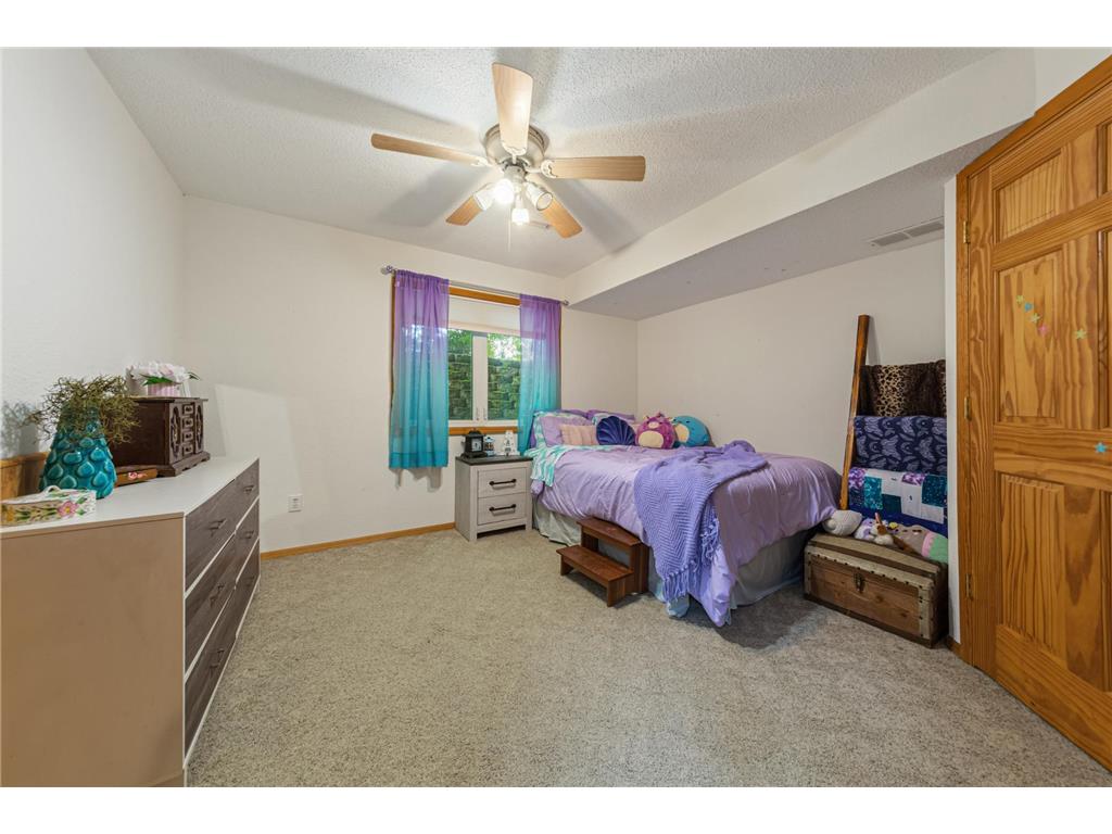 29742 400th Street Le Sueur MN 56058 7098086 image31