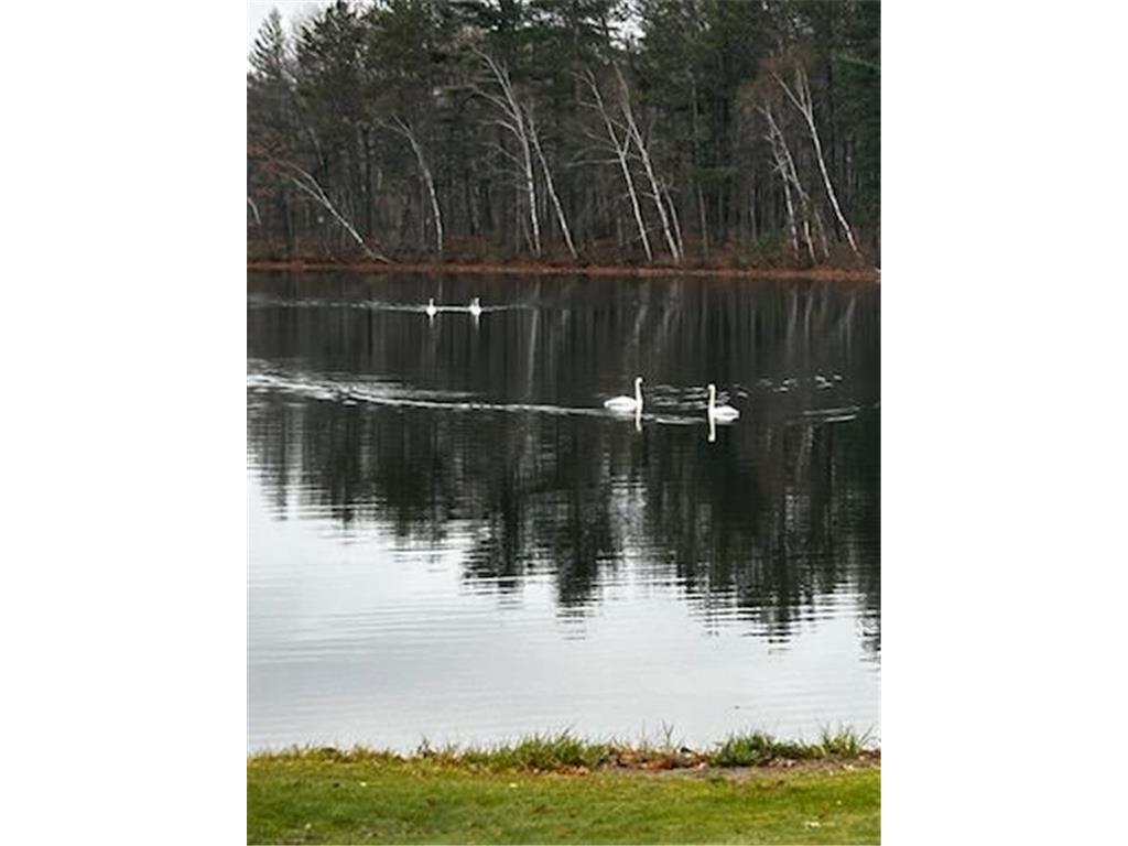 29746 382nd Place Aitkin MN 56431 - Lone 7028891 image37