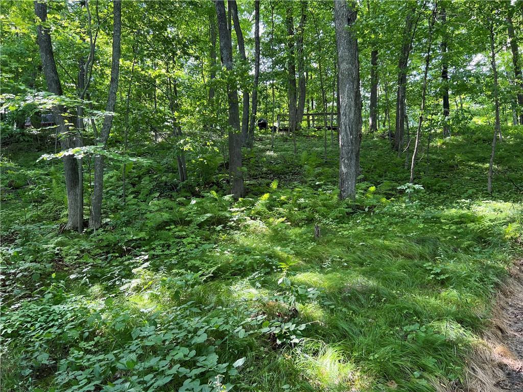 2977 27 7/8 Street Cedar Lake Twp WI 54817 - Red Cedar 7033924 image28