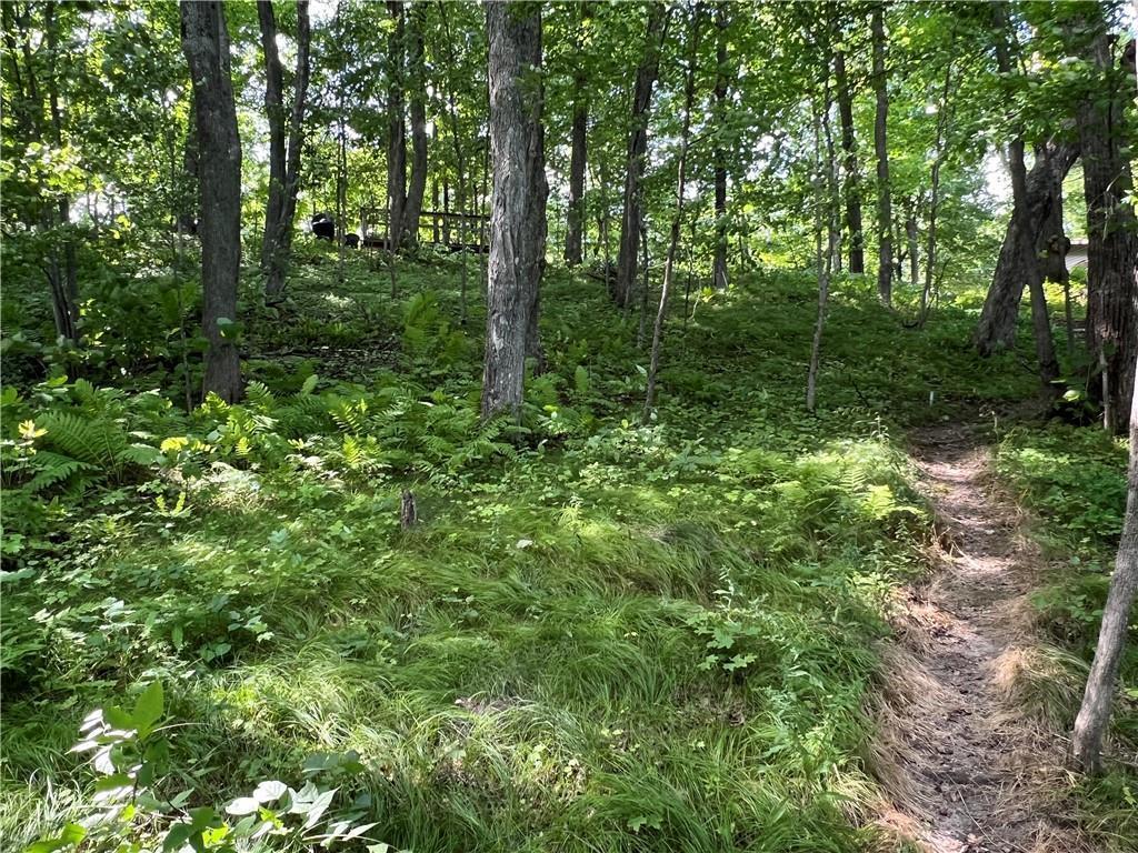 2977 27 7/8 Street Cedar Lake Twp WI 54817 - Red Cedar 7033924 image31
