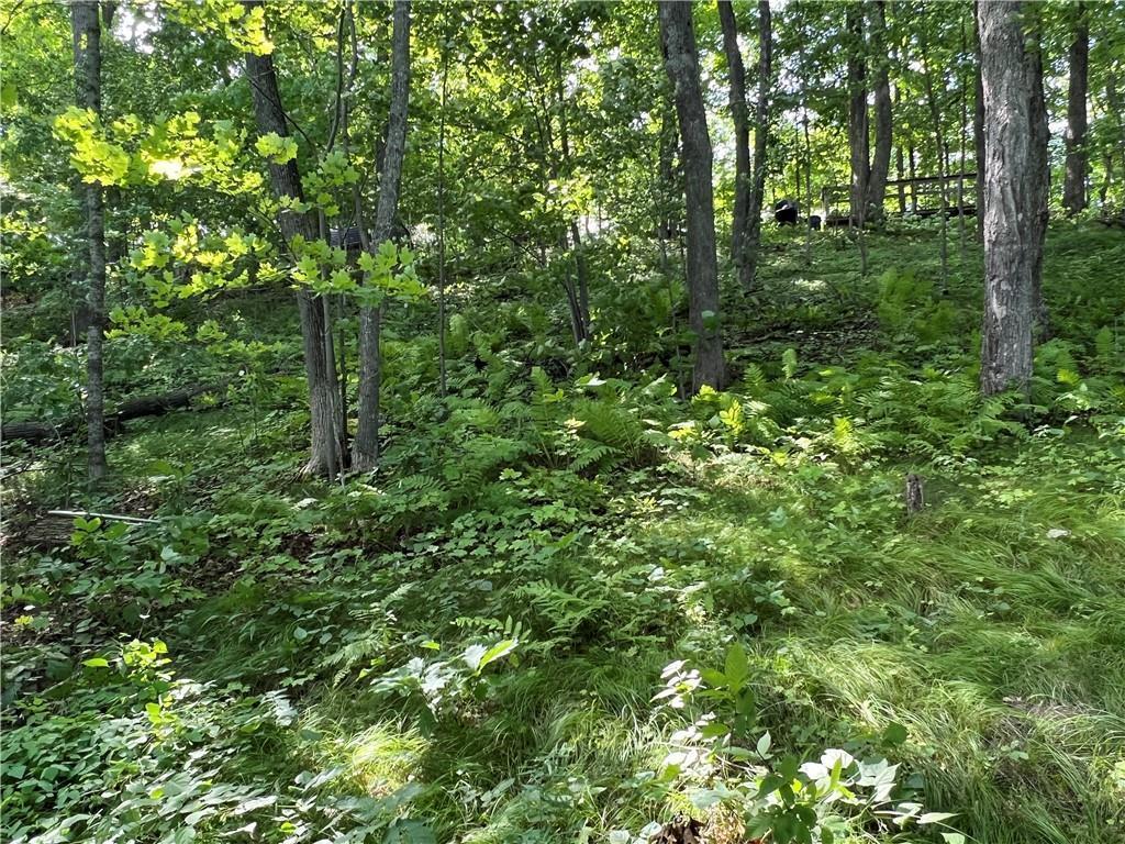 2977 27 7/8 Street Cedar Lake Twp WI 54817 - Red Cedar 7033924 image33